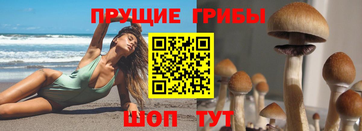 Псилоцибиновые грибы MAGIC MUSHROOMS  Вход с VPN  Ржев 
